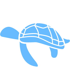 P.A.C. Ocean Upcycling Säuberung der Ozeane